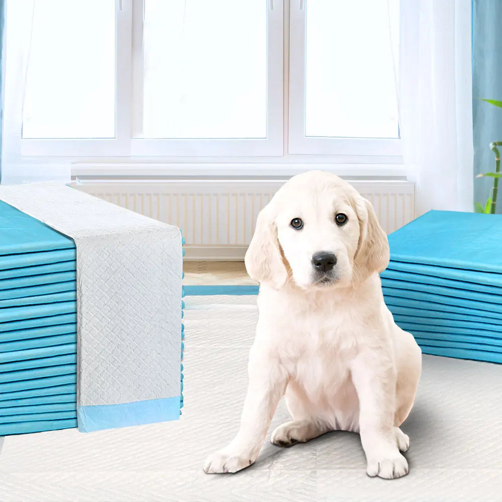 400pcs Puppy Dog Pet Training Pads Cat Toilet 60 x 60cm Super Absorbent Indoor Disposable Deals499