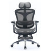 SIHOO A3 Doro C300 Ergonomics Executive Office Chair with Footrest Black from Deals499 at Deals499