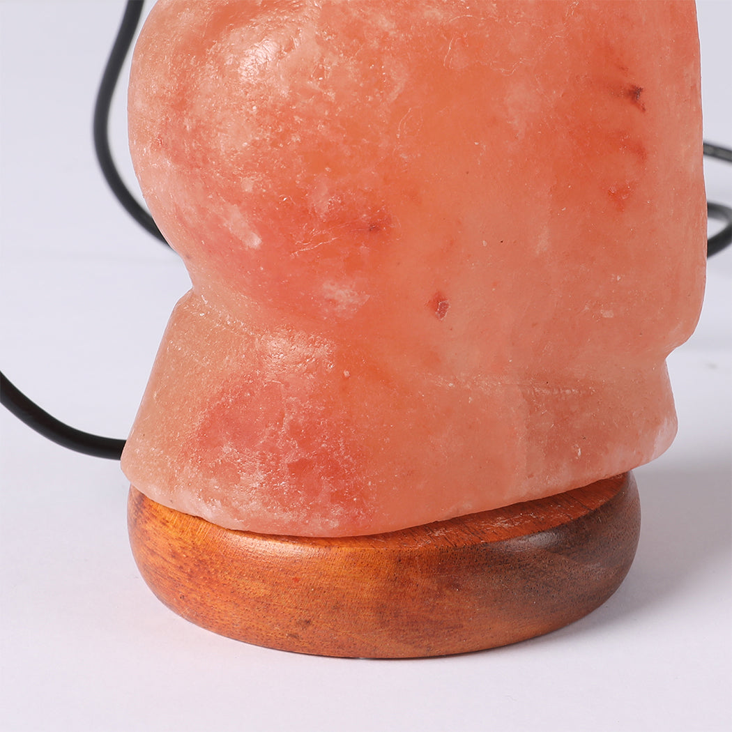 Salt Lamp Globe USB Himalayan Natural Crystal Rock Cord Night Light Lamps Globes Deals499