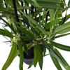 Artificial Bamboo Black Bamboo 160cm Real Touch Leaves Deals499