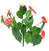 Red Anthurium Stem UV Resistant 35cm Deals499