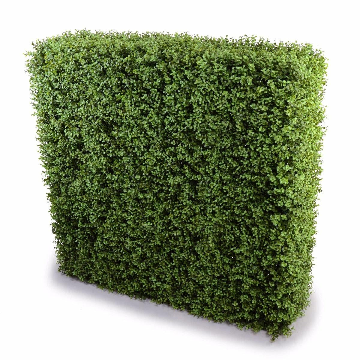 Deluxe Portable Buxus Hedges UV Stabilised 100cm Long X 100cm High Deals499