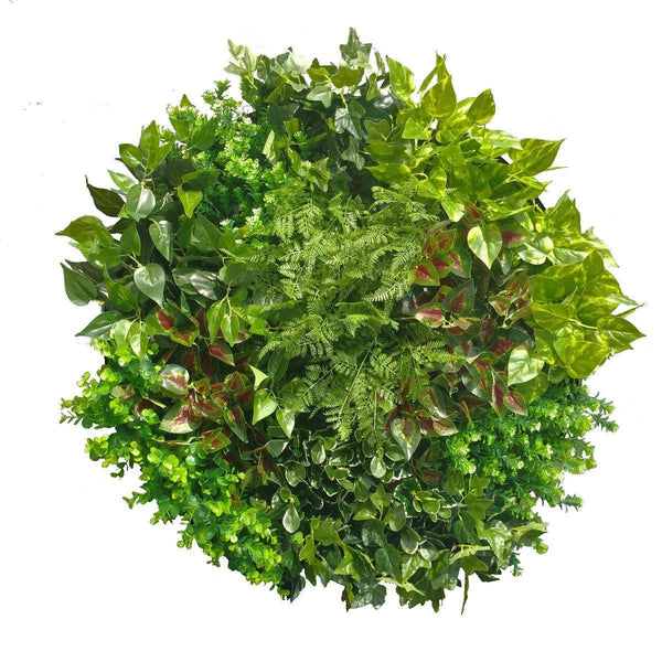 Artificial Green Wall Disc Art 80cm Mixed Fern (Onyx Black) Deals499