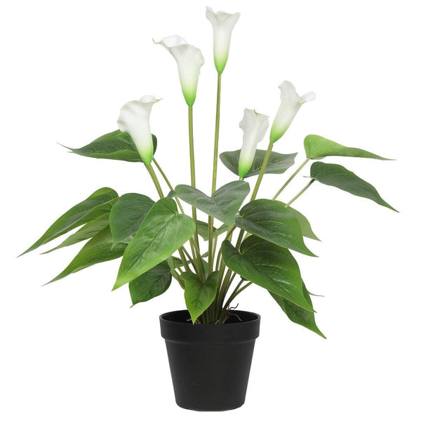 Artificial Flowering White Peace Lily / Calla Lily Plant 50cm Deals499