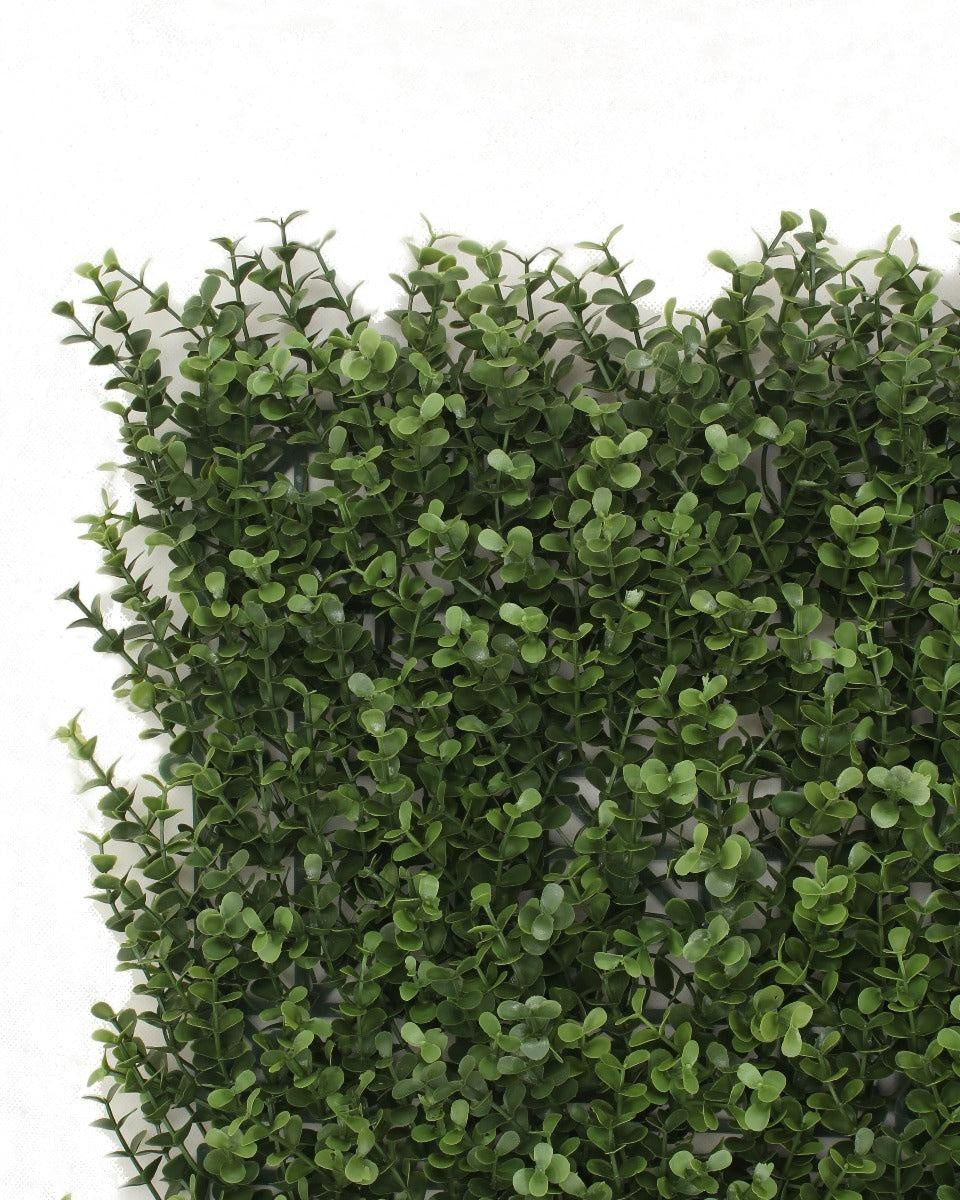 Premium Natural Buxus Hedge Panels UV Resistant 1m x 1m Deals499