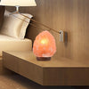 2 Pcs 3-5 kg Himalayan Salt Lamp Rock Crystal Natural Light Dimmer Switch Deals499