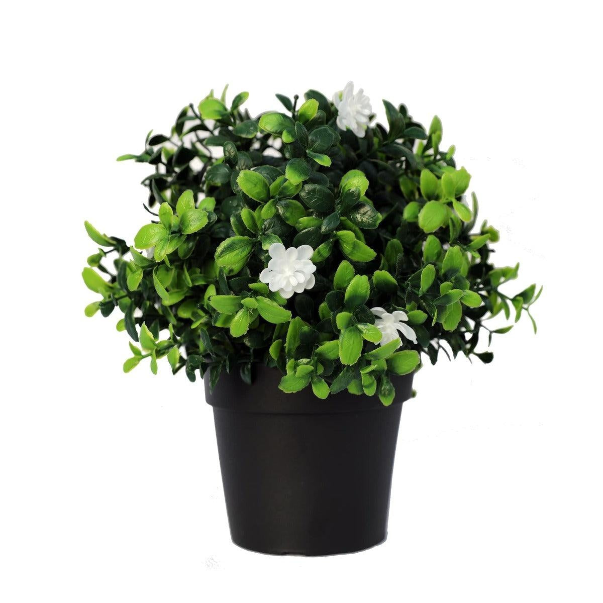 Small Potted Artificial Flowering Boxwood Plant UV Resistant 20cm Deals499