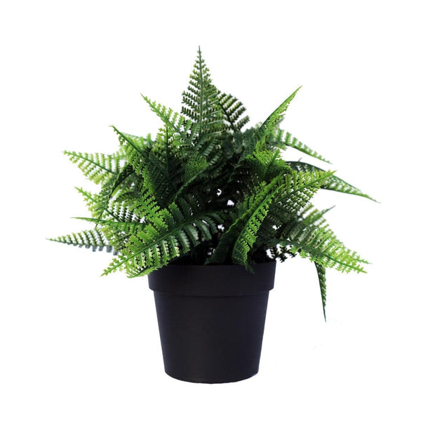 Small Potted Artificial Persa Boston Fern Plant UV Resistant 20cm Deals499