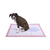 PaWz 100 Pcs 60x60 cm Pet Puppy Toilet Training Pads Absorbent Lavender Scent Deals499