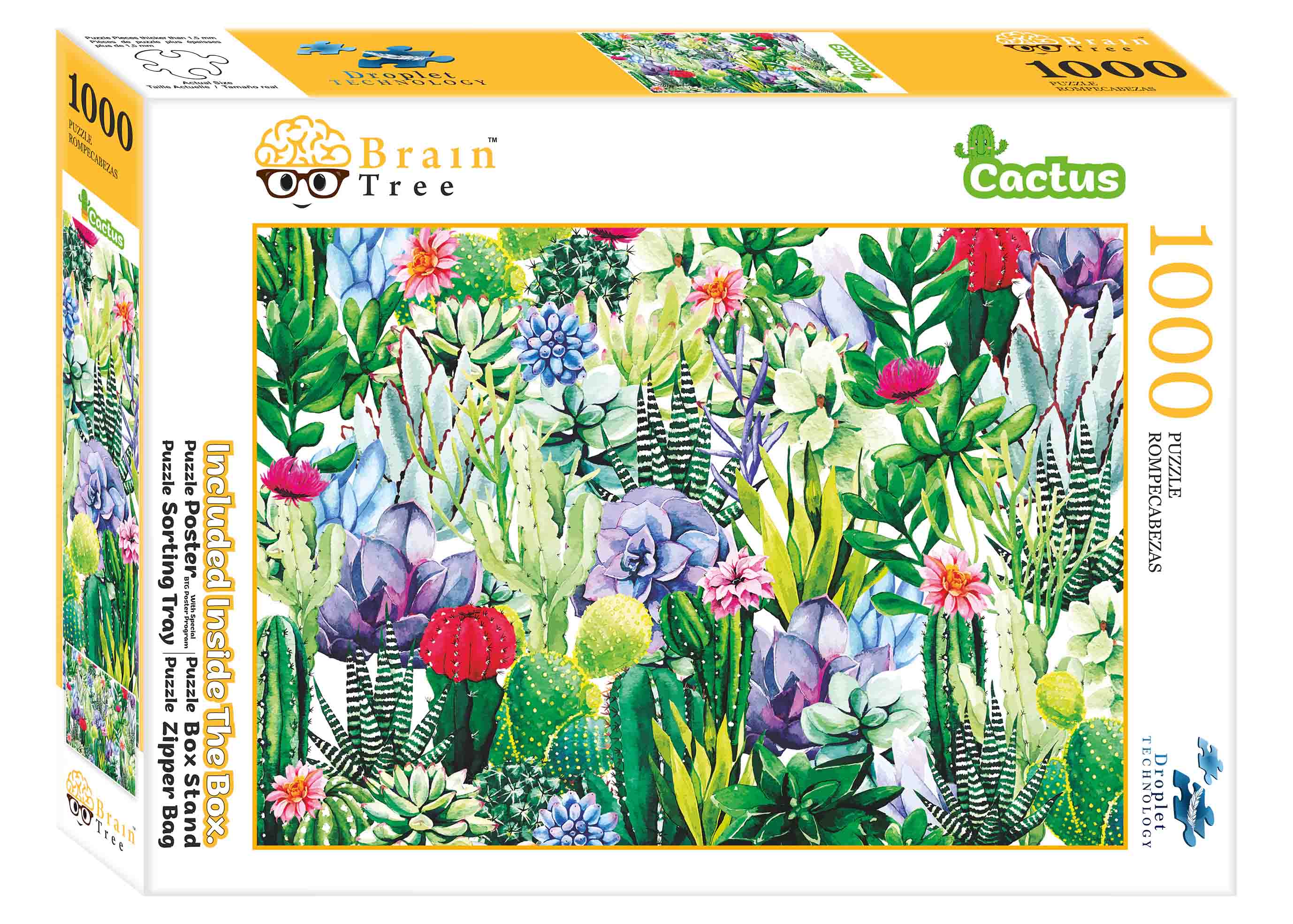 Cactus Jigsaw Puzzles 1000 Piece-1