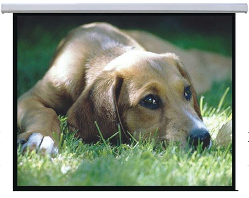 BRATECK Auto-lock Manual Projection Screen-72â€™â€™(1.45X1.10M) /(4:3 Ratio) BRATECK