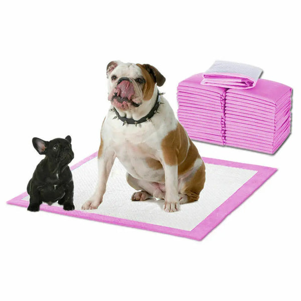 PaWz 400pc 60x60cm Puppy Pet Dog Indoor Cat Toilet Training Pads Absorbent Pink Deals499