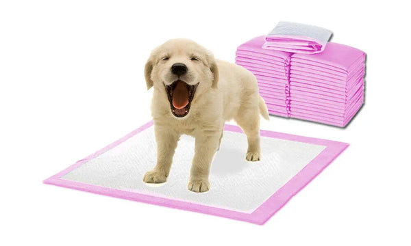 PaWz 400pc 60x60cm Puppy Pet Dog Indoor Cat Toilet Training Pads Absorbent Pink Deals499