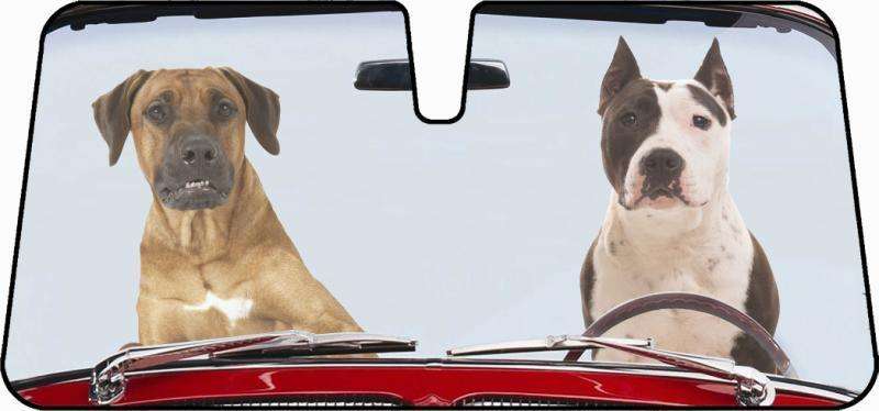 Premium Sun Shade [148cm x 68cm] - 2 DOGS Deals499