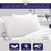 Royal Comfort Goose Down Feather Pillows 1000GSM 100% Cotton Cover - Twin Pack 50 x 75 cm White Deals499