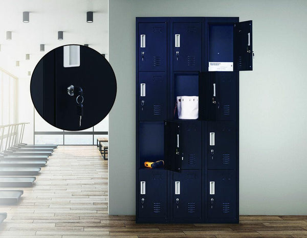 Standard locks 12 Door Locker for Office Gym - Black Deals499