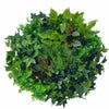 Artificial Green Wall Disk Art 60cm - Mixed Fern & Ivy Deals499