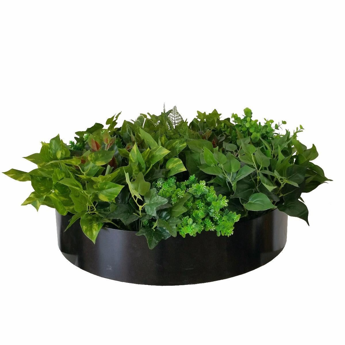 Artificial Green Wall Disk Art 60cm - Mixed Fern & Ivy Deals499