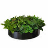 Artificial Green Wall Disk Art 60cm - Mixed Fern & Ivy Deals499