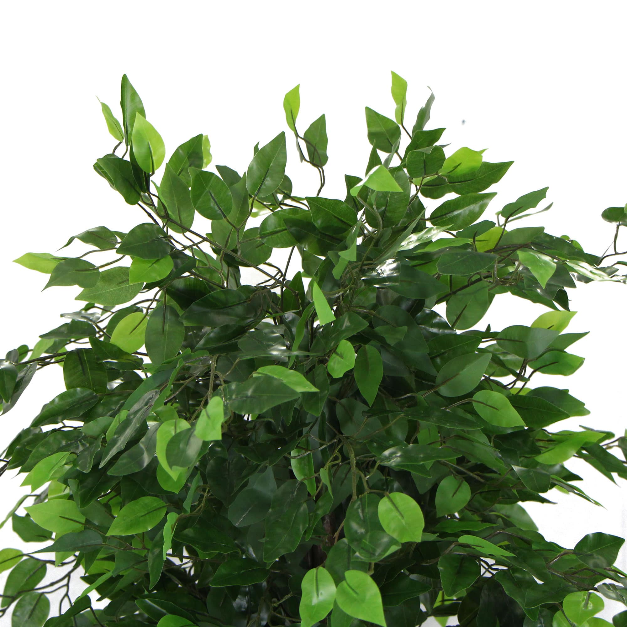 Artificial Ficus Tree 180cm Nearly Natural UV Resistant Deals499