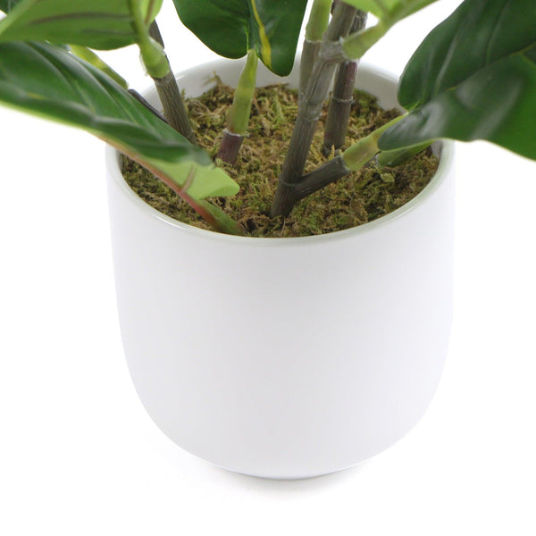 Decorative Potted Dense Artificial Fiddle Leaf Fig In Beautiful Decorative Bowl 37cm Deals499