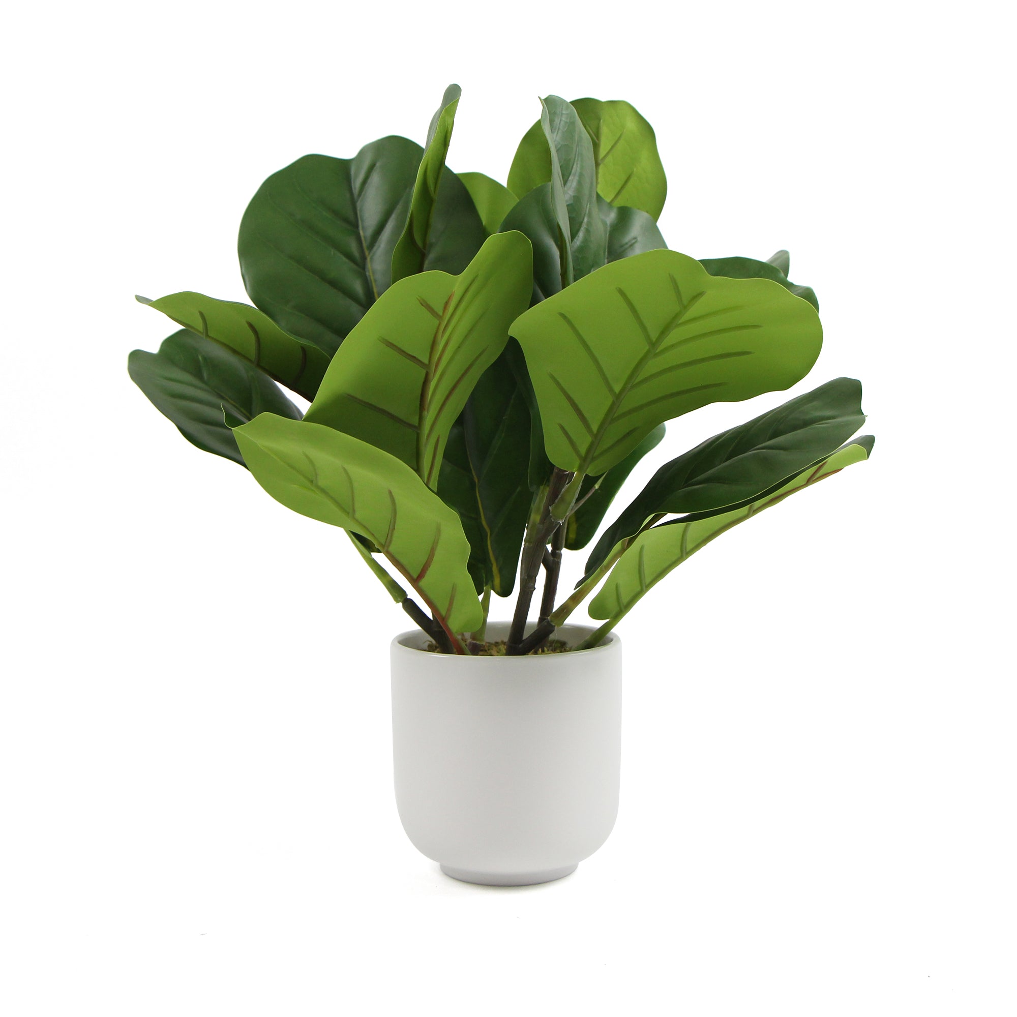 Decorative Potted Dense Artificial Fiddle Leaf Fig In Beautiful Decorative Bowl 37cm Deals499