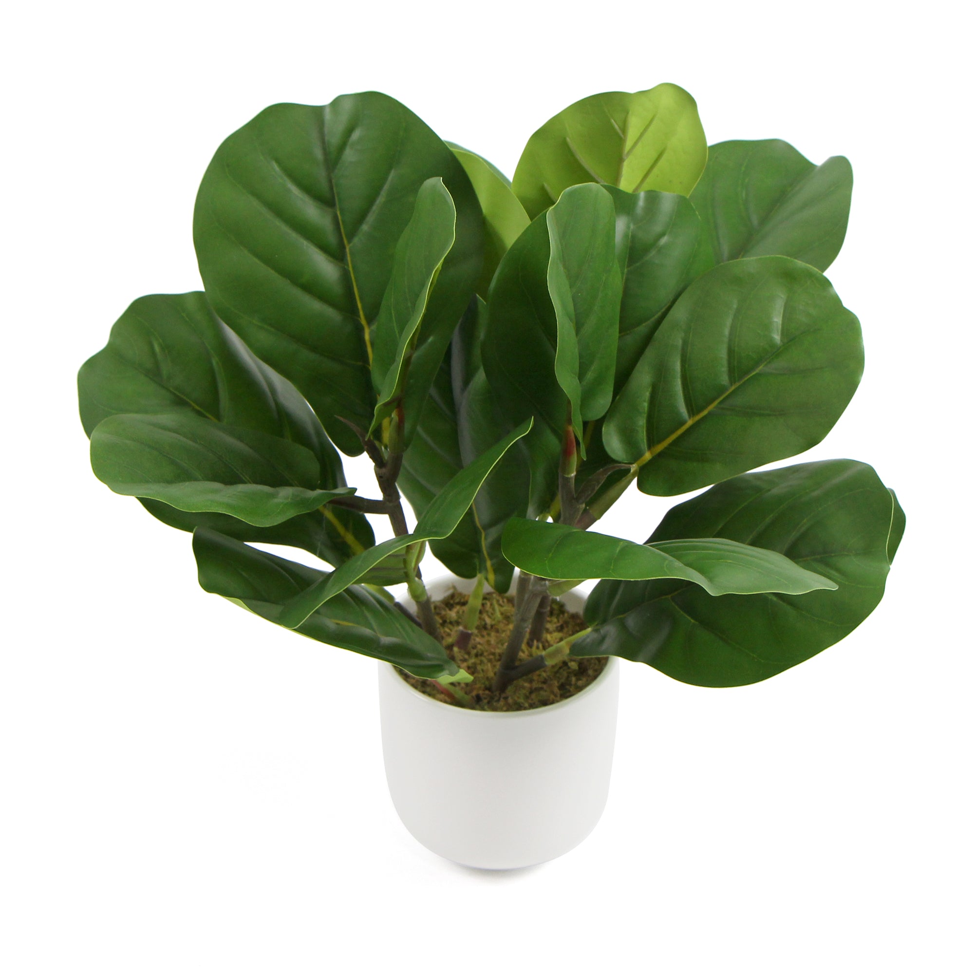 Decorative Potted Dense Artificial Fiddle Leaf Fig In Beautiful Decorative Bowl 37cm Deals499