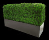 Deluxe Portable Buxus (Bright) UV Resistant 100cm Long x 50cm High x 25cm Wide Deals499