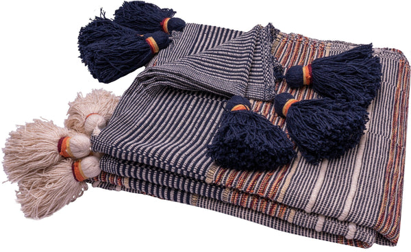 Ava Stripes Tassel Throw Multi Color Deals499