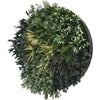 UV Green Field Green Wall Disc (Black) 100cm Deals499