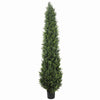 UV Resistant Cypress Pine Tree 2.1m Deals499