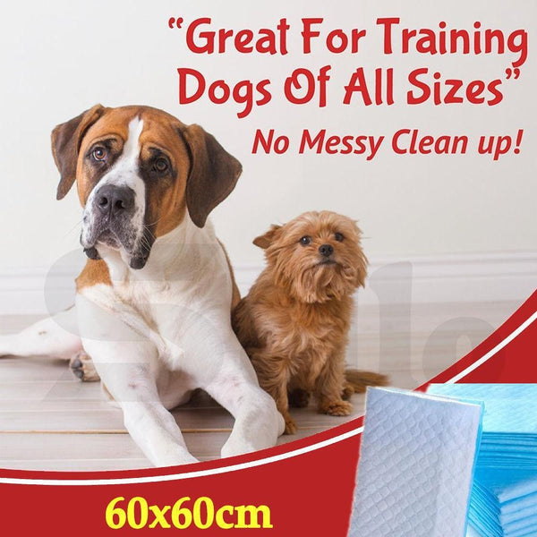 PaWz 100 Pcs 60x60cm Ultra Absorbent Puppy Pet Dog Cat Toilet Training Pads Blue Deals499