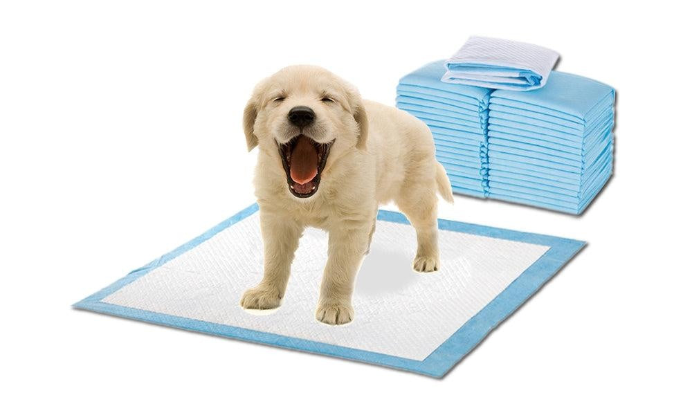 PaWz 100 Pcs 60x60cm Ultra Absorbent Puppy Pet Dog Cat Toilet Training Pads Blue Deals499