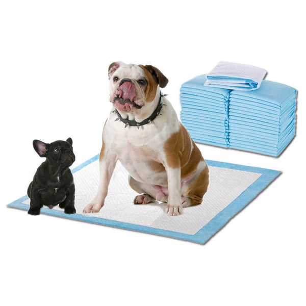 PaWz 100 Pcs 60x60cm Ultra Absorbent Puppy Pet Dog Cat Toilet Training Pads Blue Deals499