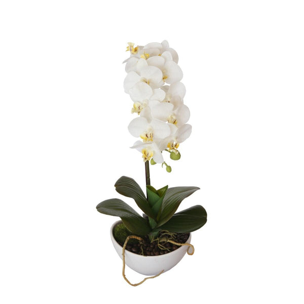 46cm Butterfly Orchid - White Deals499