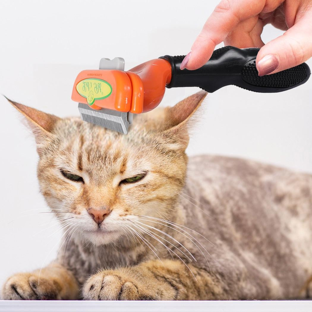 PaWz Pet Dog Cat Comb Massager Grooming Brush Relaxing Hair Removal Tool M Deals499