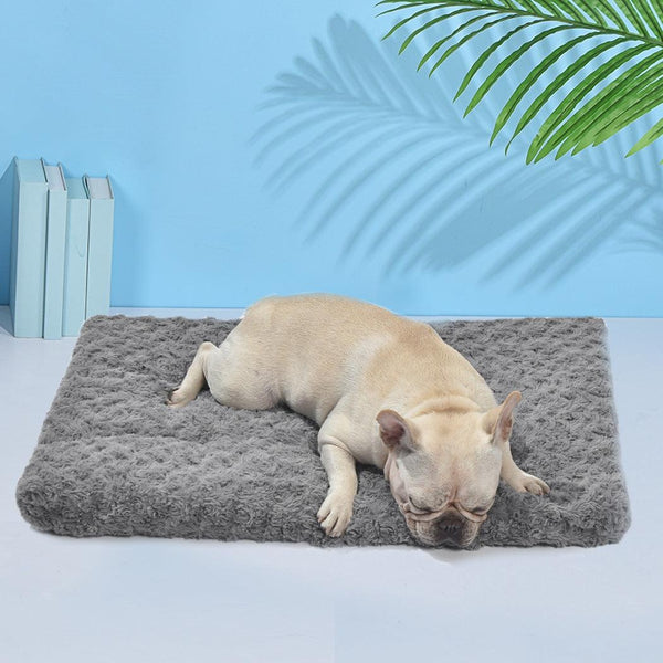 Pet Bed Dog Beds Bedding Soft Warm Mattress Cushion Pillow Mat Velvet M Deals499