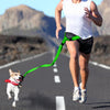 Adjustable Dog Hands Free Leash Waist Belt Buddy Jogging Walking Running Green Deals499