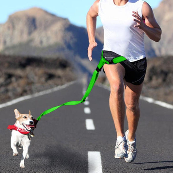 Adjustable Dog Hands Free Leash Waist Belt Buddy Jogging Walking Running Green Deals499