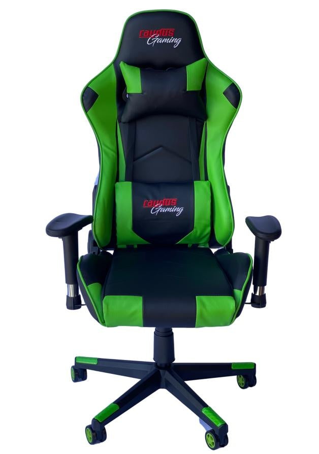 RAYDUS Gaming Racer Chair Green Deals499