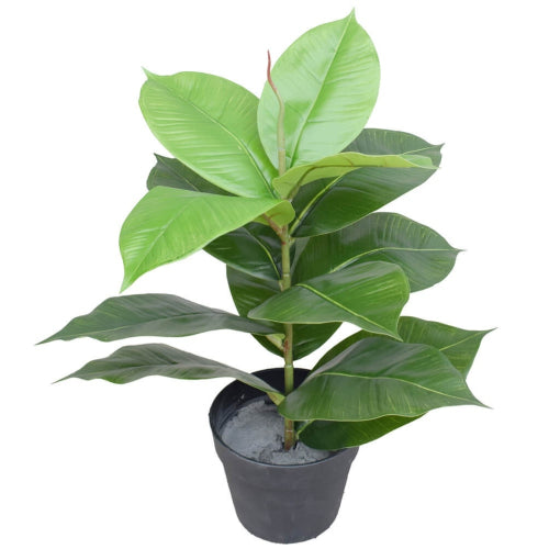 Artificial Potted Rubber Plant 55cm Deals499